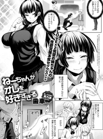 単話【ねーちゃんがオレを好きすぎる（単話）】歯車