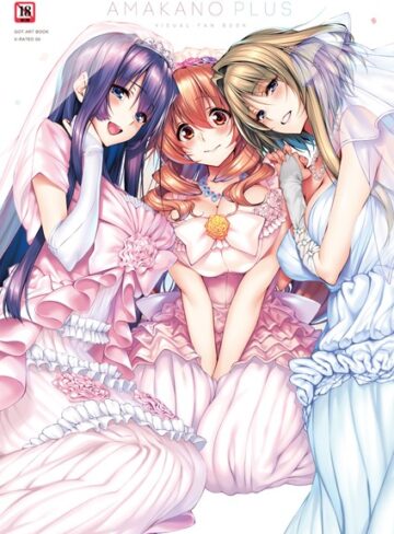 単行本【アマカノ＋ ビジュアルファンブック】ピロ水