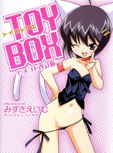 単行本【TOY BOX -ヒメゴト改訂版-】みずきえいむ